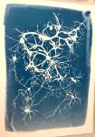 Neuronal cell print